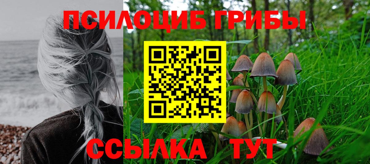 Псилоцибиновые грибы GOLDEN TEACHER  Вход с VPN  Псилоцибиновые грибы прущие грибы  Канаш 