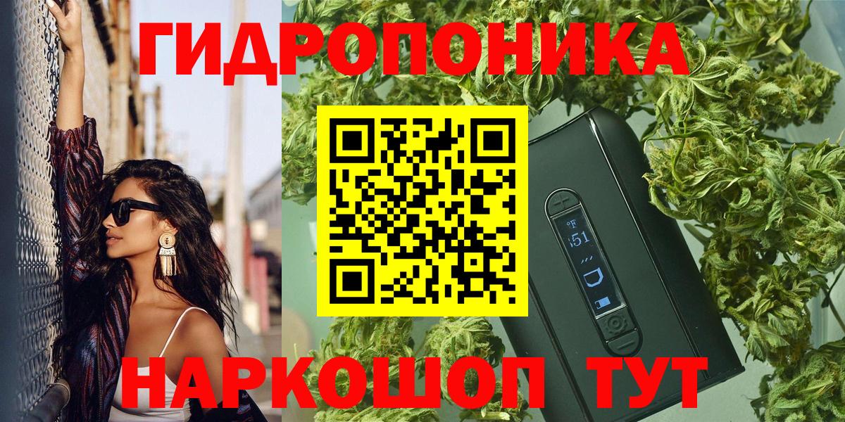 Канаш  Конопля SATIVA & INDICA  Бошки марихуана планчик  Вход с VPN  Конопля Bruce Banner  Бошки марихуана марихуана 